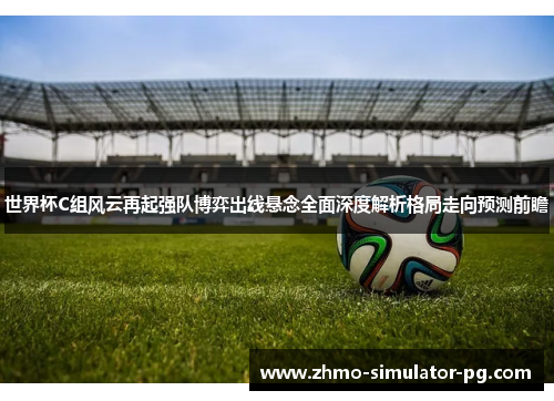 世界杯C组风云再起强队博弈出线悬念全面深度解析格局走向预测前瞻
