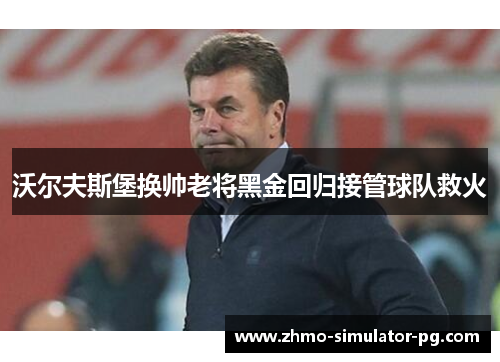沃尔夫斯堡换帅老将黑金回归接管球队救火